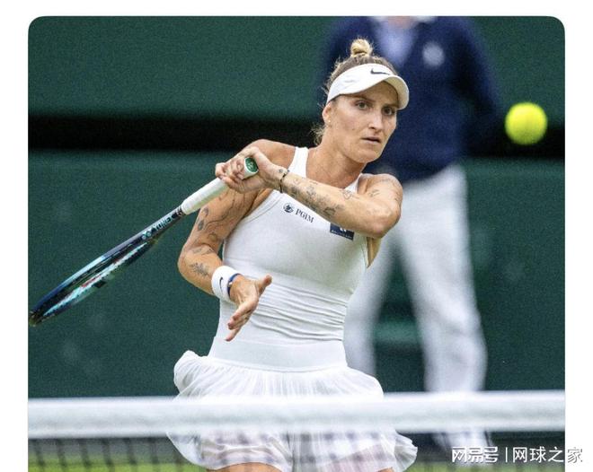 从联盟的角 从联盟的角